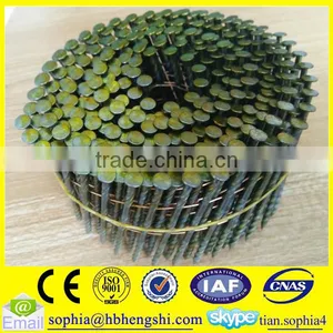 Wire Coil Nails thumbnail-1
