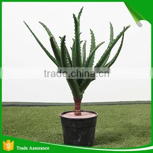 Potted Artificial Mini Succulent Plant for Decoration thumbnail-1