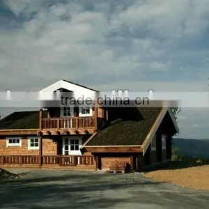 CE Villa House thumbnail-1