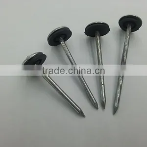 Umbrealla Nail With Roofing Head and Thread Nail Body thumbnail-4