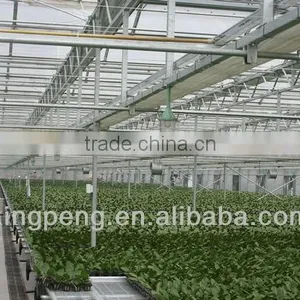 Venlo Roof Type Glass Greenhouse thumbnail-3