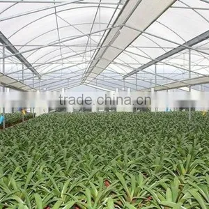 Cheap Price High Quality Vegetables and Flowers Planting Greenhouse Film Exporter thumbnail-1