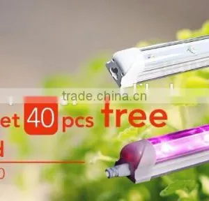 2017 Light Bulb for Herbs Growing,indoor Plant Lights,with 30% Discount thumbnail-1