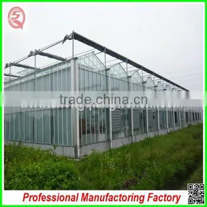 Hot Sale 9.6m Multi-span Agriculture Glass Greenhouse Grow Tent for Planting thumbnail-3