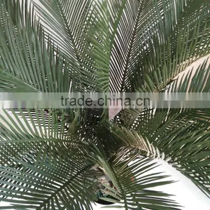Decorative Sago Cycas Cycas Revoluta Artificial High Simulation Cycads Plant thumbnail-5