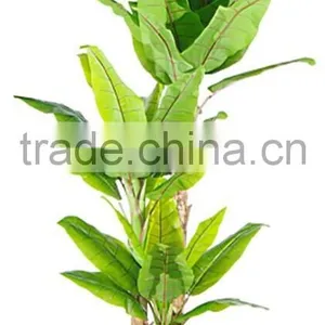 Brand Name Artificial Bonsai Artificial Travellers Tree Decor thumbnail-6