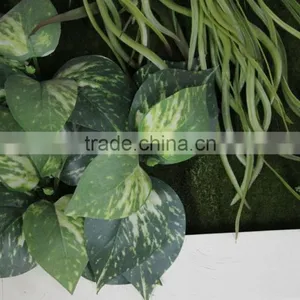 Fake Green Wall Hot Sale Hotel Artificial Leaf Wall(110X50cm) thumbnail-2