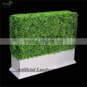 SAS016014 Artificial Hedge Panel UV Protect PE Boxwood Mat thumbnail-1