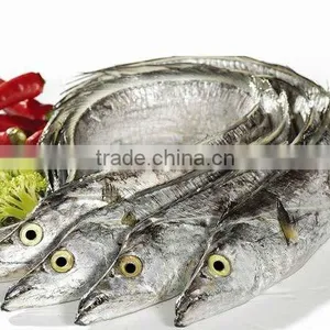Ribbon Fish thumbnail-1