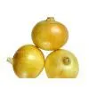 Onion (yellow Onion,red Onion,shallot) thumbnail-1