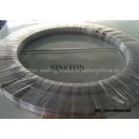 With Outer Ring Spiral Wound Gasket thumbnail-2