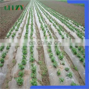 Cheap Price Pla Biodegradable Material Made in China thumbnail-3