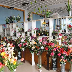 Baoding City Northern Flower Manufacturing Co., Ltd company overview - view 4 thumbnail