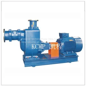 ZW Self Priming Dirty Water Pump thumbnail-1