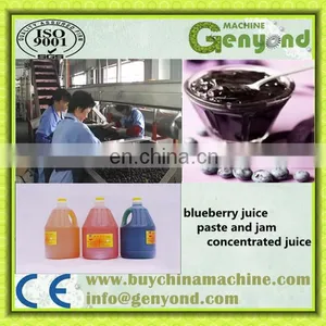 High Quality Fruit Jam Production Line In Shanghai thumbnail-2