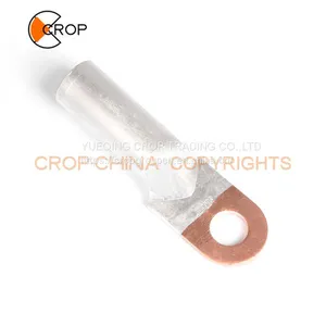 Wenzhou Yueqing Hot Sale Copper Crimp Cable Lug Cable Terminal Lug DTL Series thumbnail-5