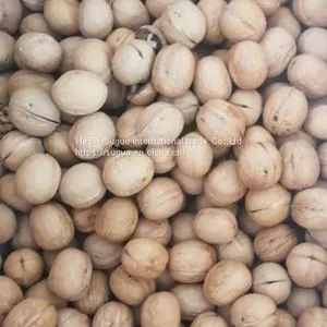2020 Wholesaler Best Price 33 Walnuts Inshell for Sale thumbnail-1