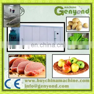 Vegetable/ Fruits /meat/ Beef Quick Freeze Warehouse 200mm thumbnail-2