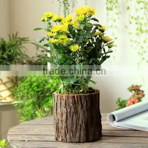 Flower Box Flower Pots Wholesale thumbnail-3
