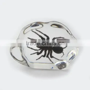 2016 New Design Promotional Gift Desk Decoration Real Insect thumbnail-6