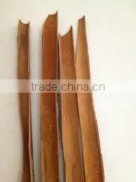 Best Selling Split Cassia thumbnail-1