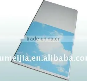 Good Quality PVC Ceiling Panel ( Sold Well) thumbnail-1