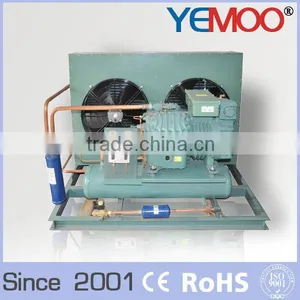 Copeland Hermetic Air Cooled Condensing Unit--box Type With v Type for Solar Power Cold Room thumbnail-2