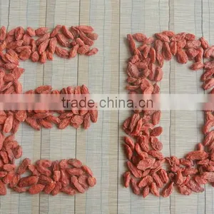 2015 Goji Berry Price thumbnail-4