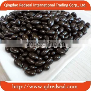 Chocolate Coated Sunflower Seed Kernels thumbnail-1