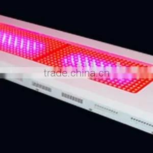 Grow Lamp for Vegetable thumbnail-1