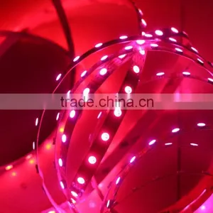 Digital Addressable Rgb Led Strip Non-waterproof Ws2813 Ws2812b Led Strip thumbnail-5