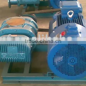 SR-125-1 Industry Roots Blower thumbnail-1