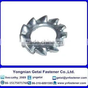 Stainless Steel External Teeth Serrated Lock Washers DIN6798 GB862.2 thumbnail-2
