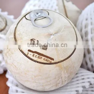 Coconut Water thumbnail-2