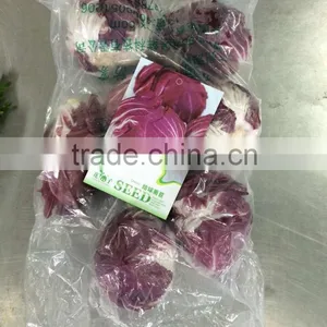 Fresh Radicchio thumbnail-2