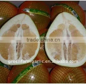 Chinese Honey Pomelo thumbnail-1