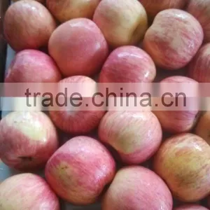 Grade A Fuji Apple/80% and up Red Colour thumbnail-2
