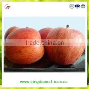 2016 YanTai Fresh Royal Fruits Hot Sale Red Gala Apple thumbnail-1