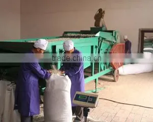 Tianjin Jinghai Changsheng Foodstuffs Co., Ltd. company overview - view 3 thumbnail