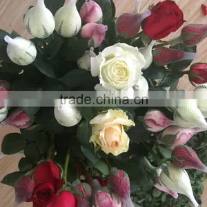 Natural Fresh Flower Fresh Rose From Kunming thumbnail-5