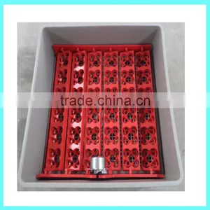 Newest Hot Sale Automatic Mini Egg Incubator thumbnail-5