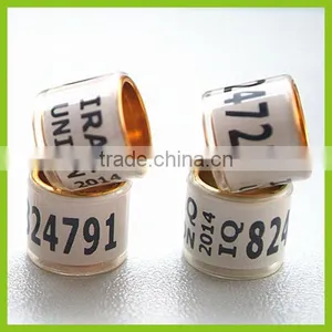 Gold Aluinium Coated Transparent Plastic 10mm Pigeon Bands Legs thumbnail-1