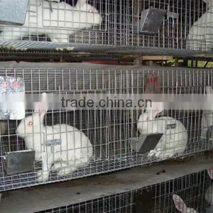 Mother and Baby Rabbit Cage thumbnail-3