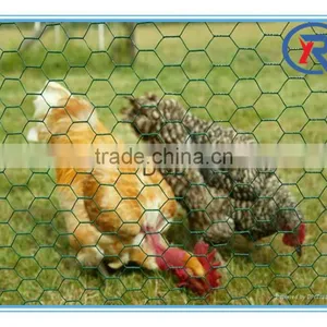 Hebei Steel Company Good Quality Best Factory Price Plastic /PVC Coated Hexagonal Wire Mesh thumbnail-2