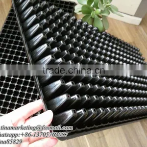 288 Cell Polystyrene Reusable Plastic Seedling Germination Tray, Plant Nursery Seed Cell Plug Tray Cheap Price thumbnail-3