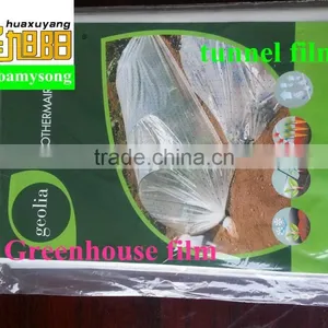 PE Agricultural Plastic Greenhouses Film Kit Tunnel for Vegetable Used in Garden thumbnail-1