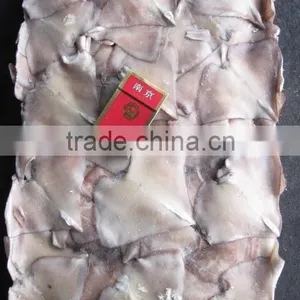 Frozen Gaint Sqiud Wing thumbnail-4