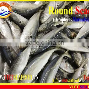 FROZEN MARUADSI (ROUND SCAD) thumbnail-5