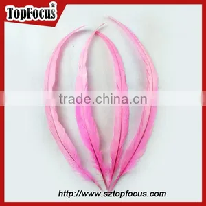 Dyed Color Big Long Natural Grizzly Rooster Feathers for Sale thumbnail-6