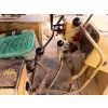 Used Caterpillar D6D Bulldozer thumbnail-2